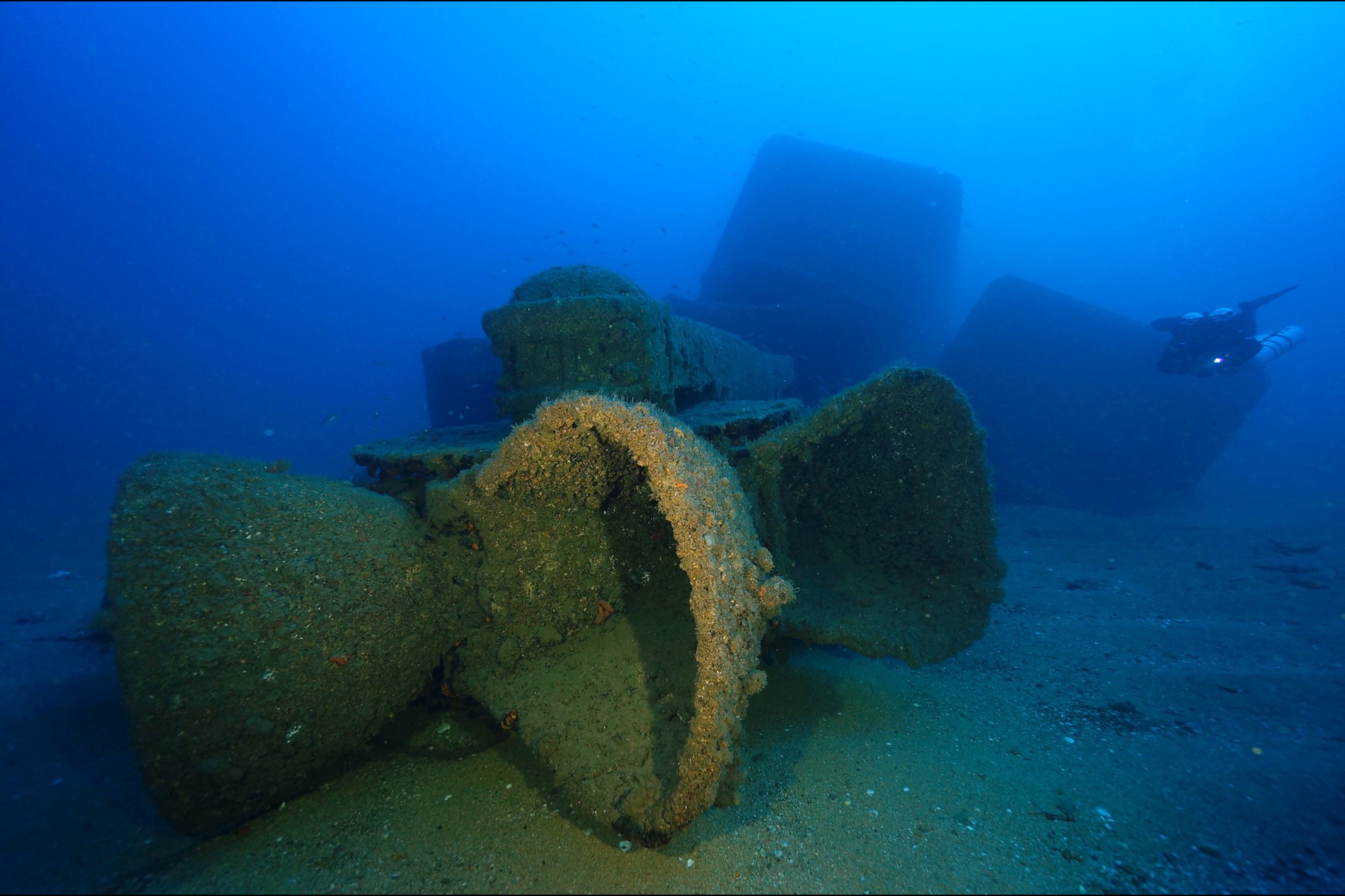 www.sydneydivecharters.com.au