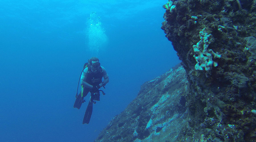 Hire TopOfTheRange Scuba Diving Gear Sydney Dive Charters